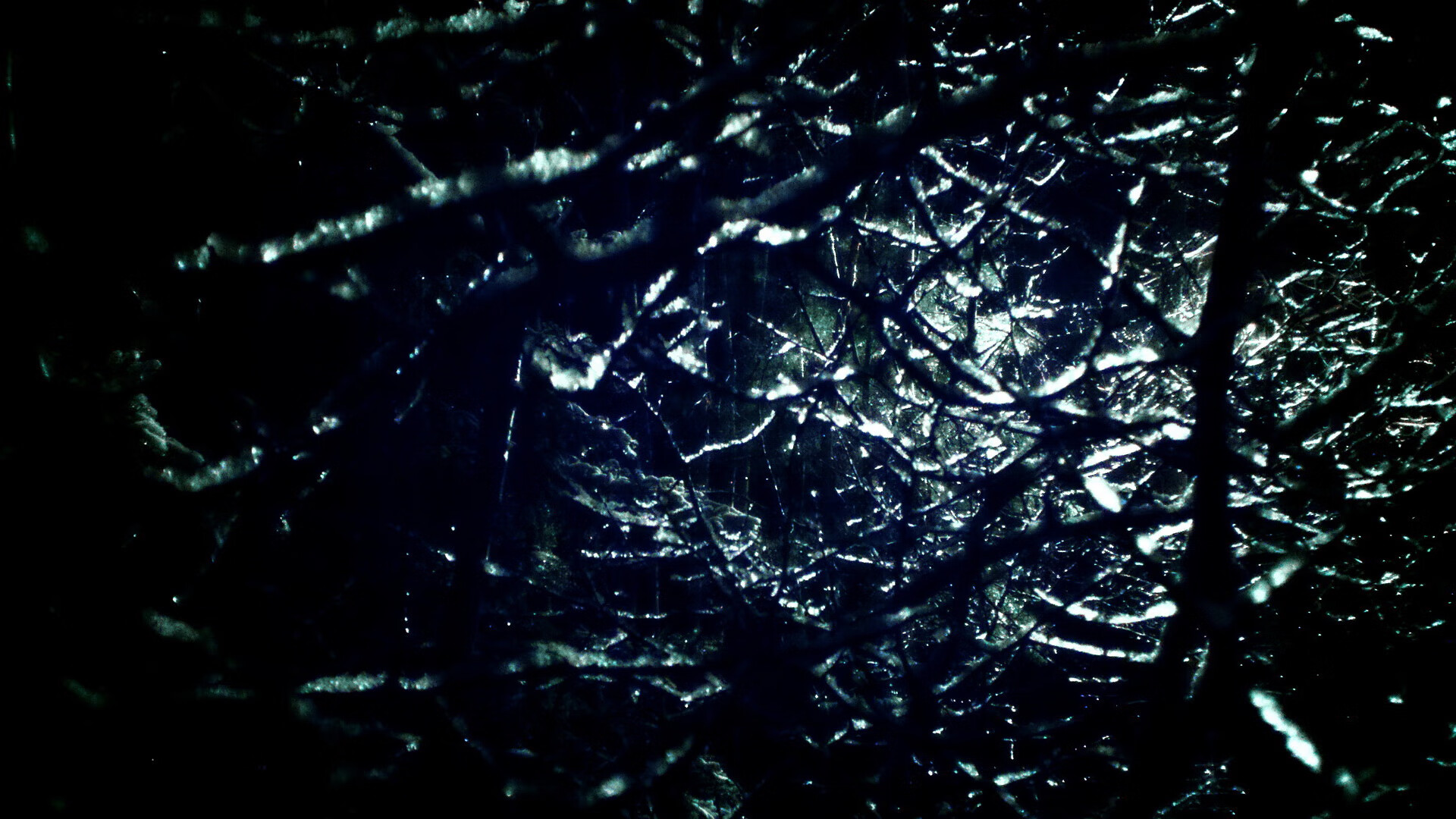 开云-范弗利特，火箭登顶之战，他献上了最惊艳的英雄帖