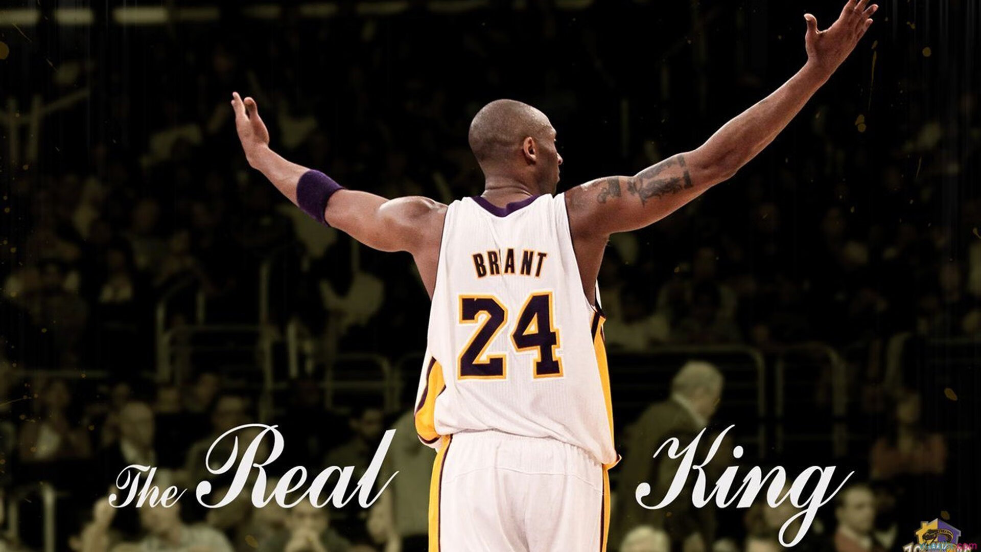 铁血防守与孤胆英雄，哥斯达黎加的战术铁幕与加克波的绝境狂舞