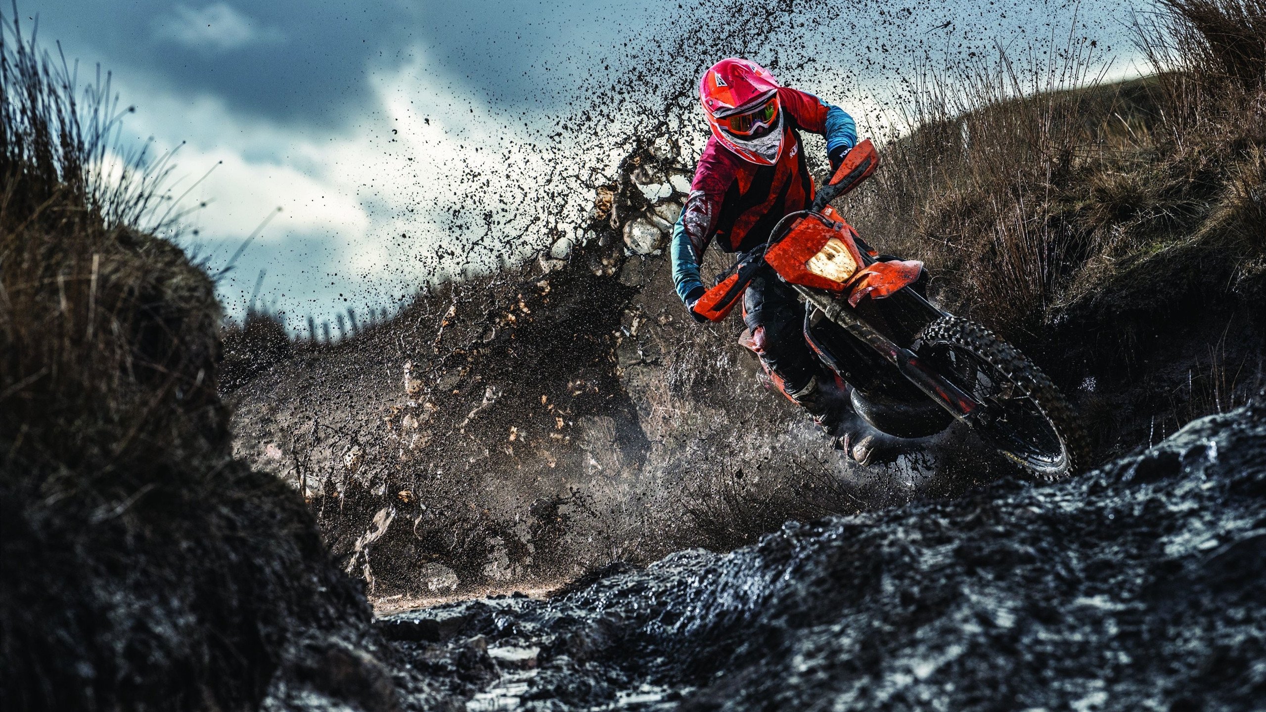 跨越太平洋的王者对话,广东铁血破猛龙,伦纳德总决赛封神启示录